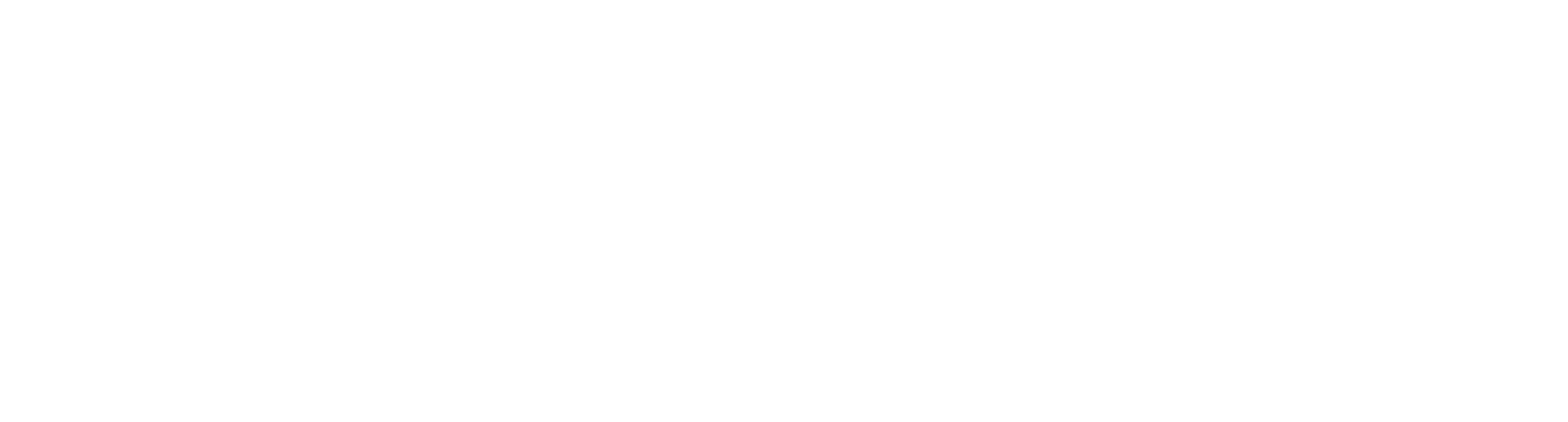 odinera logo